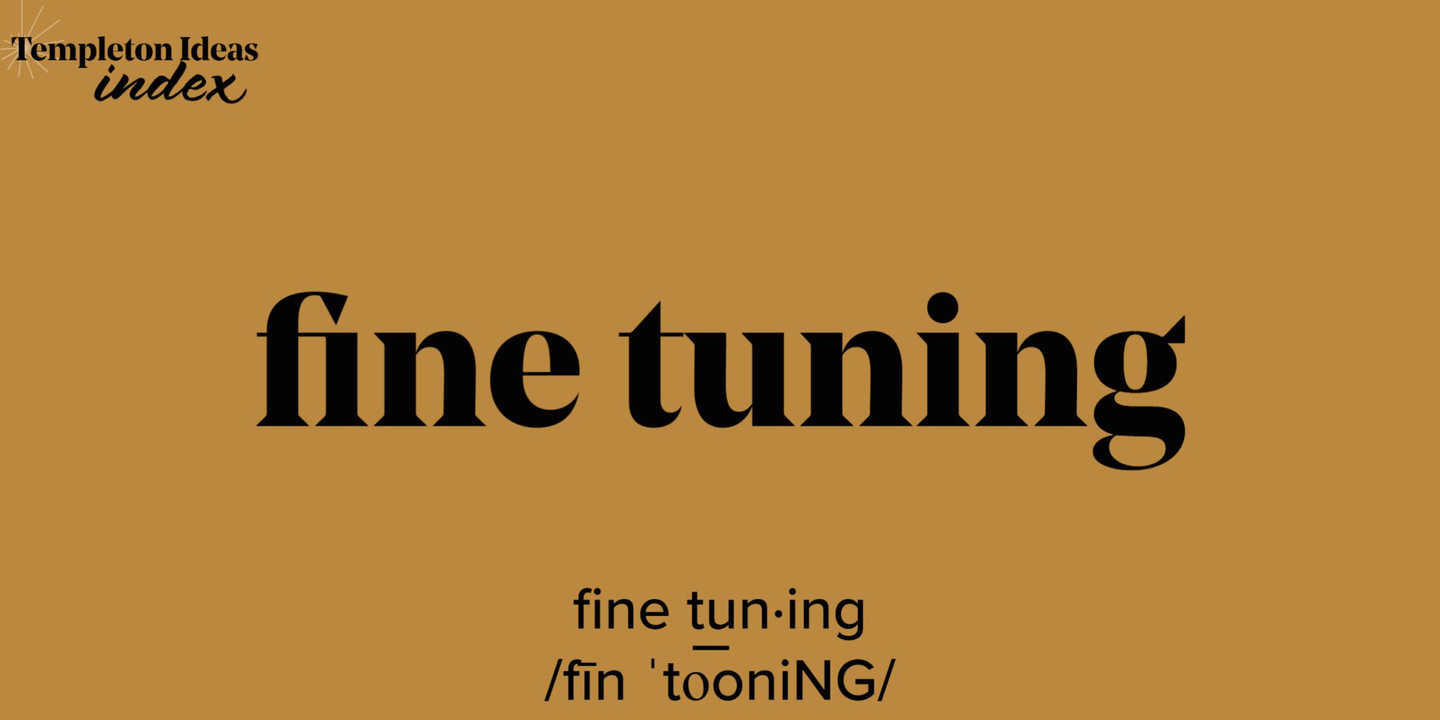  What Is Fine Tuning John Templeton Foundation